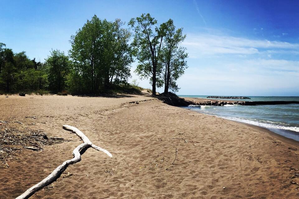 A sandy beach with a wooden log, trees, and a rocky shoreline.