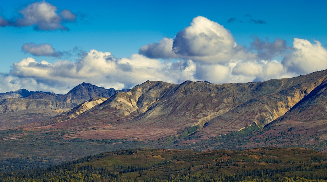Mountain Range seen from K'esugi Ridge Trail, Denali State Park, Matanuska-Susitna Borough, Southcentral Alaska, Alaska, USA