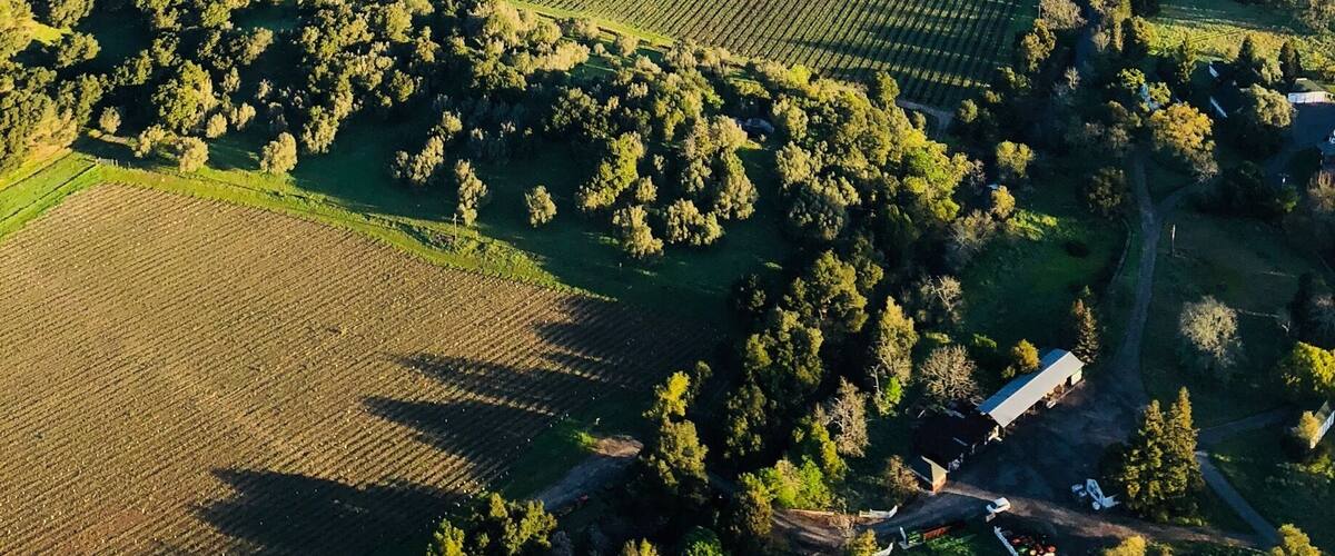 Ballooning over Napa Valley was an unforgettable experience. Spring has sprung in the valley and the vineyards are busy preparing for the growing season.
From the air, one really gets a sense of the sheer square acreage of the vineyards here.