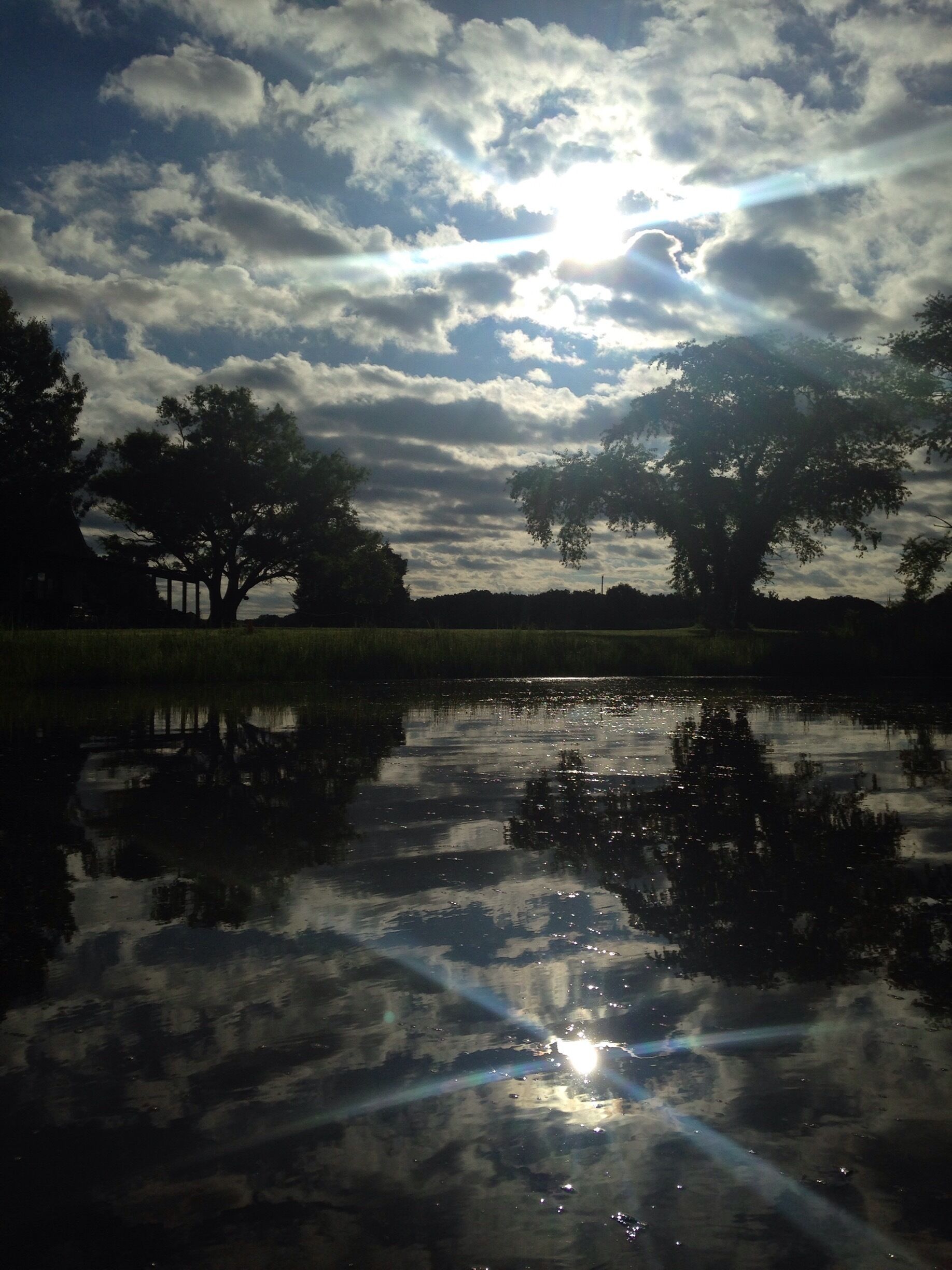 This was taken from my kayak on Allens Fresh Run in southern Maryland. Still calm Glassy water every morning, early sunshine on quiet cove, still water produced photo magic all day #waterlust