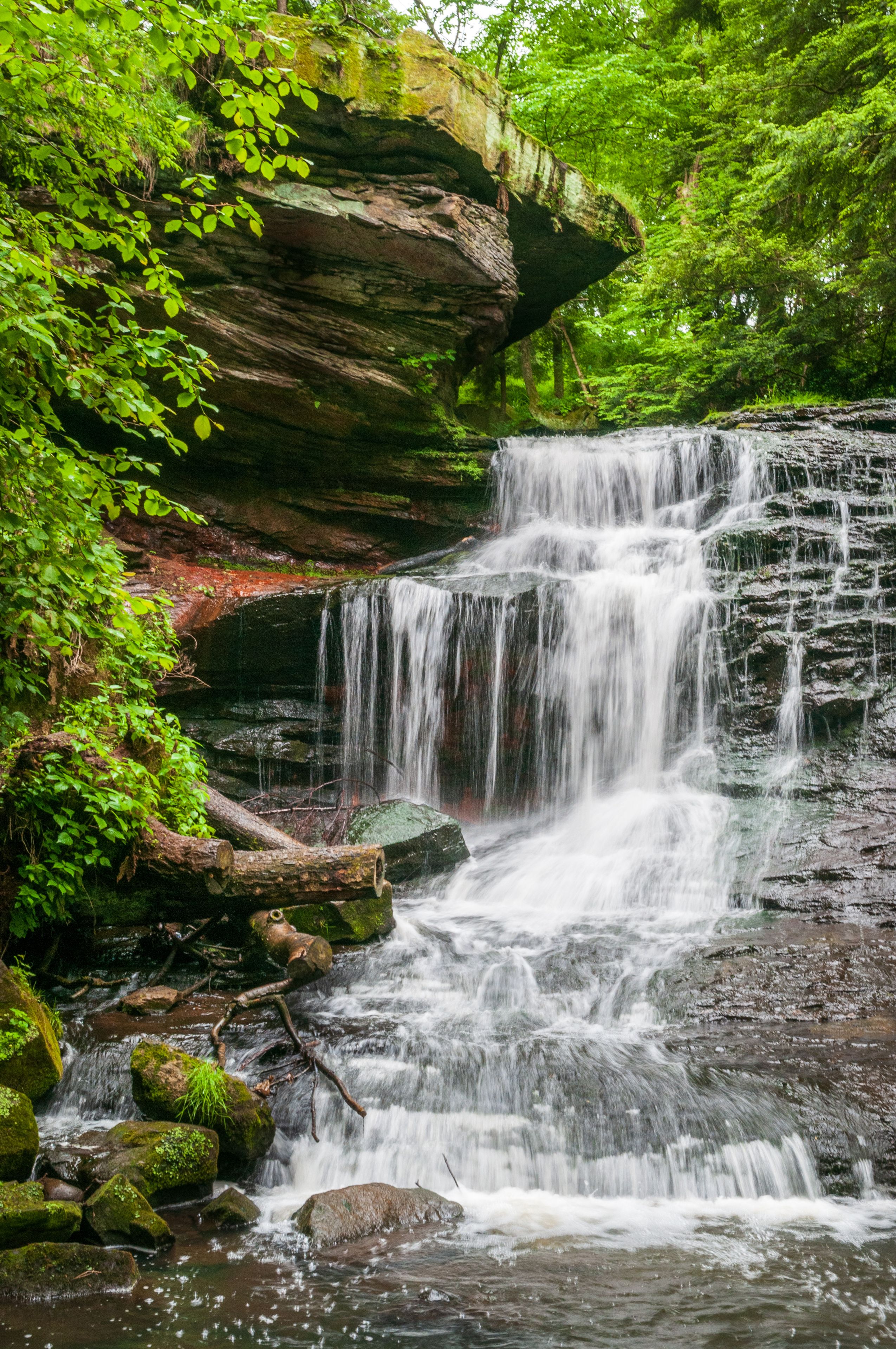 Uma cascata despencando sobre rochas cobertas de musgo, rodeada por vegetação verde exuberante.