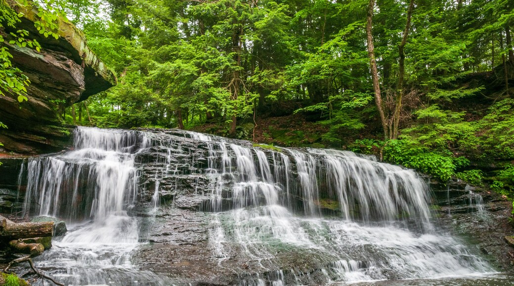 Uma cascata despencando sobre um afloramento rochoso, rodeada por vegetação verde exuberante.