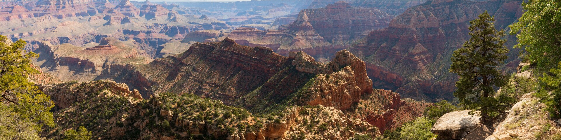 Panaramic View of Grand Canyon National Park