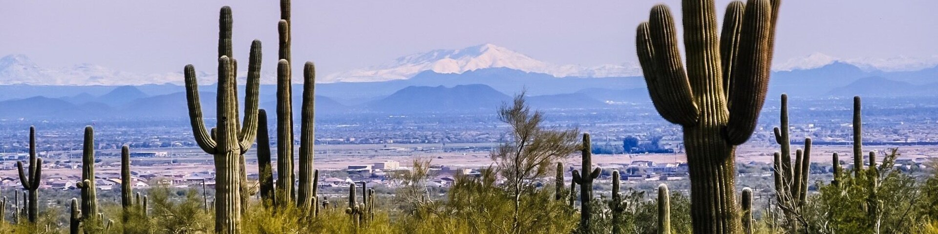Our family moved from Michigan to Arizona temporarily and this year they had quite a low of snow not far from a Phoenix #Arizona Adventure