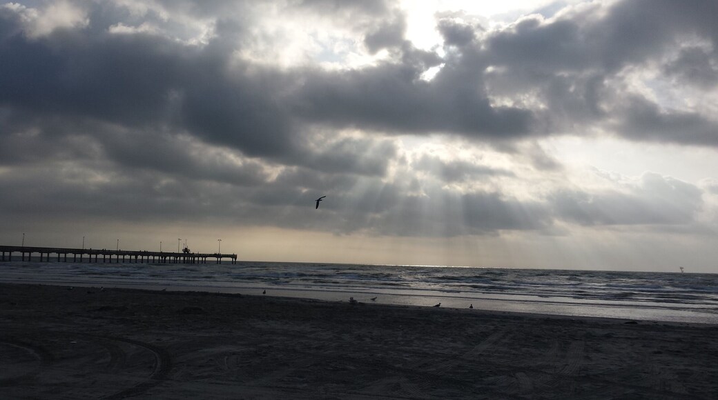 Camped about 2 miles from Bob Hall pier. Great fishing, not too crowded, Showers & bike rentals, horseback riding, & a bar & grill on the pier. This is what I woke up to the first morning. #BeachBound