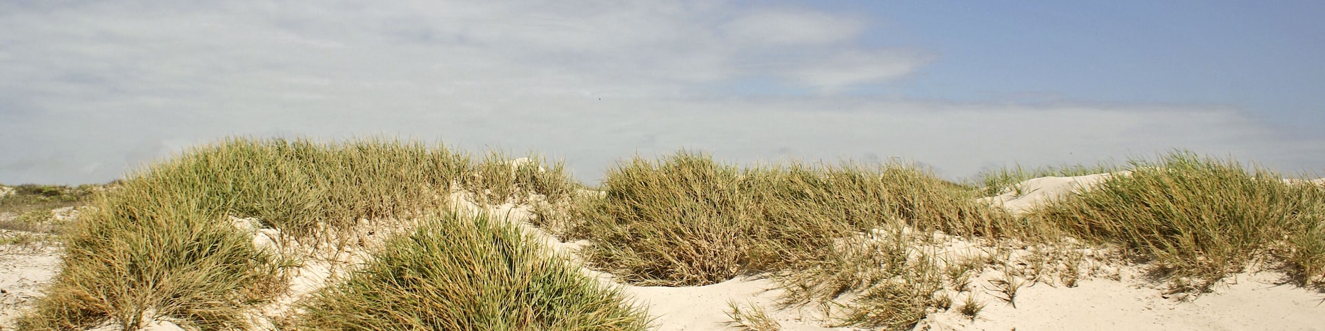 A sandy beach with dunes and grassy vegetation under a partly cloudy sky.