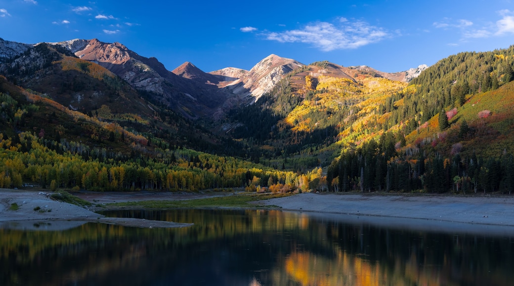 View of Silver Lake Flat Reservoir reflecting the surrounding mountains and autumn foliage under a clear blue sky in Utah County, Utah, United States.