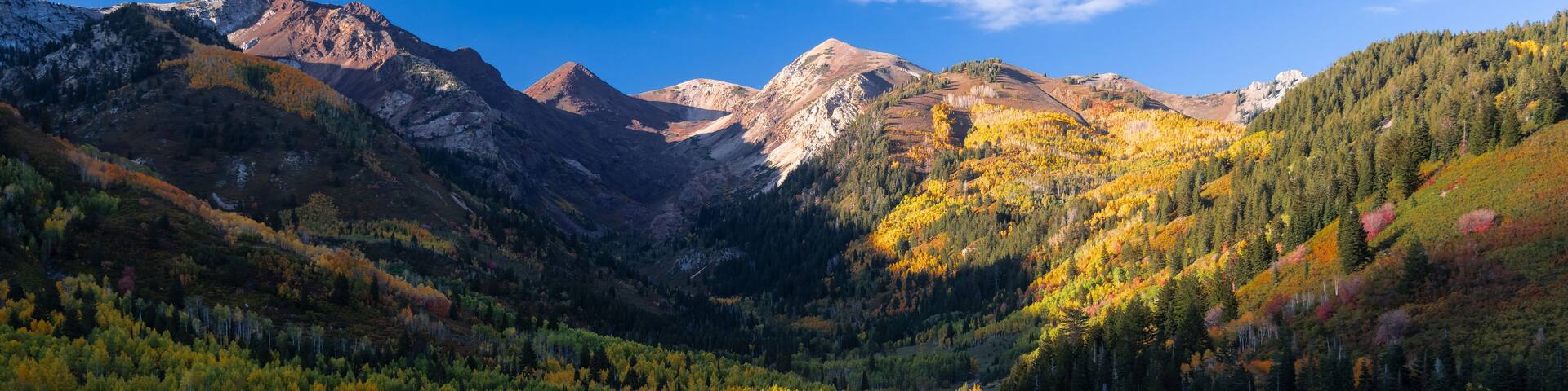 A mountain range with a lake reflecting the trees and sky.