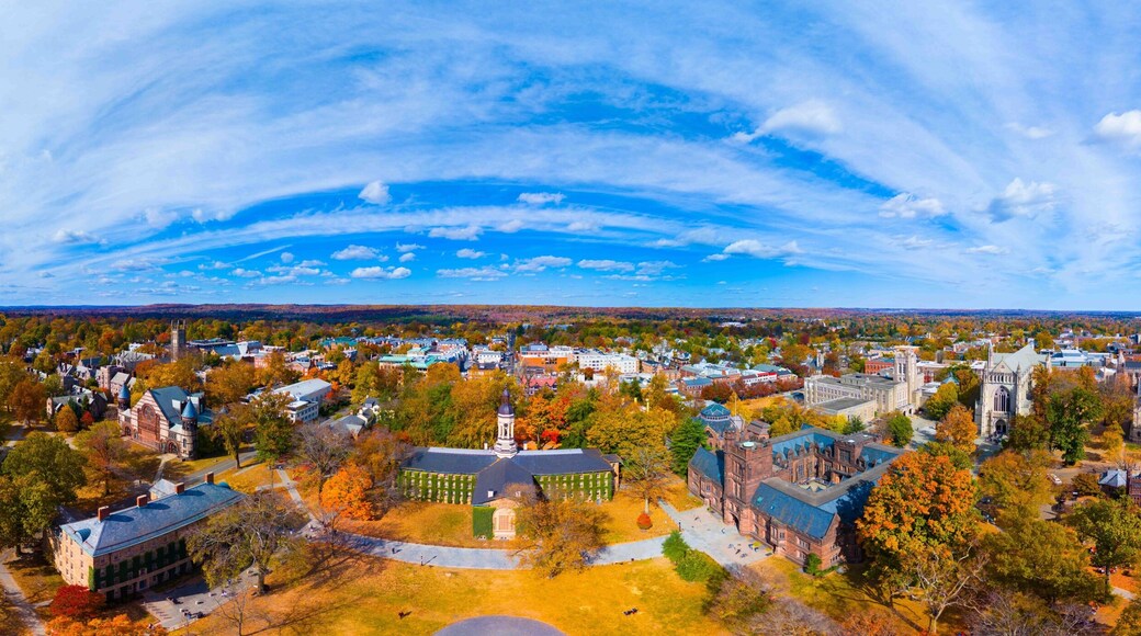 An aerial view of a university campus with historic buildings, a large green lawn, and autumn-colored trees.