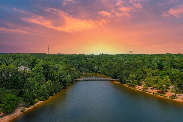 A river with a bridge, surrounded by dense green forest, under a sunset sky.