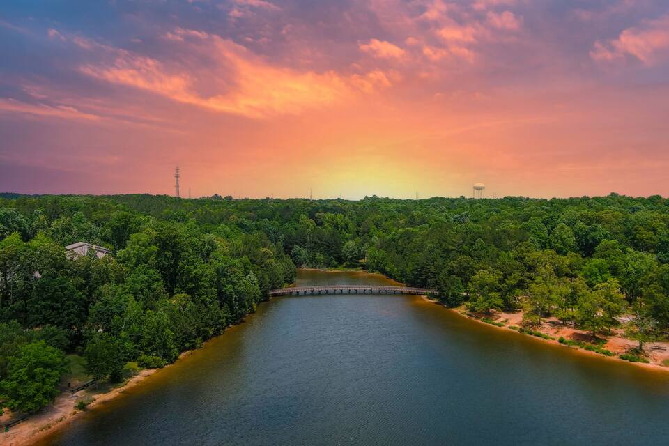 A river with a bridge, surrounded by dense green forest, under a sunset sky.