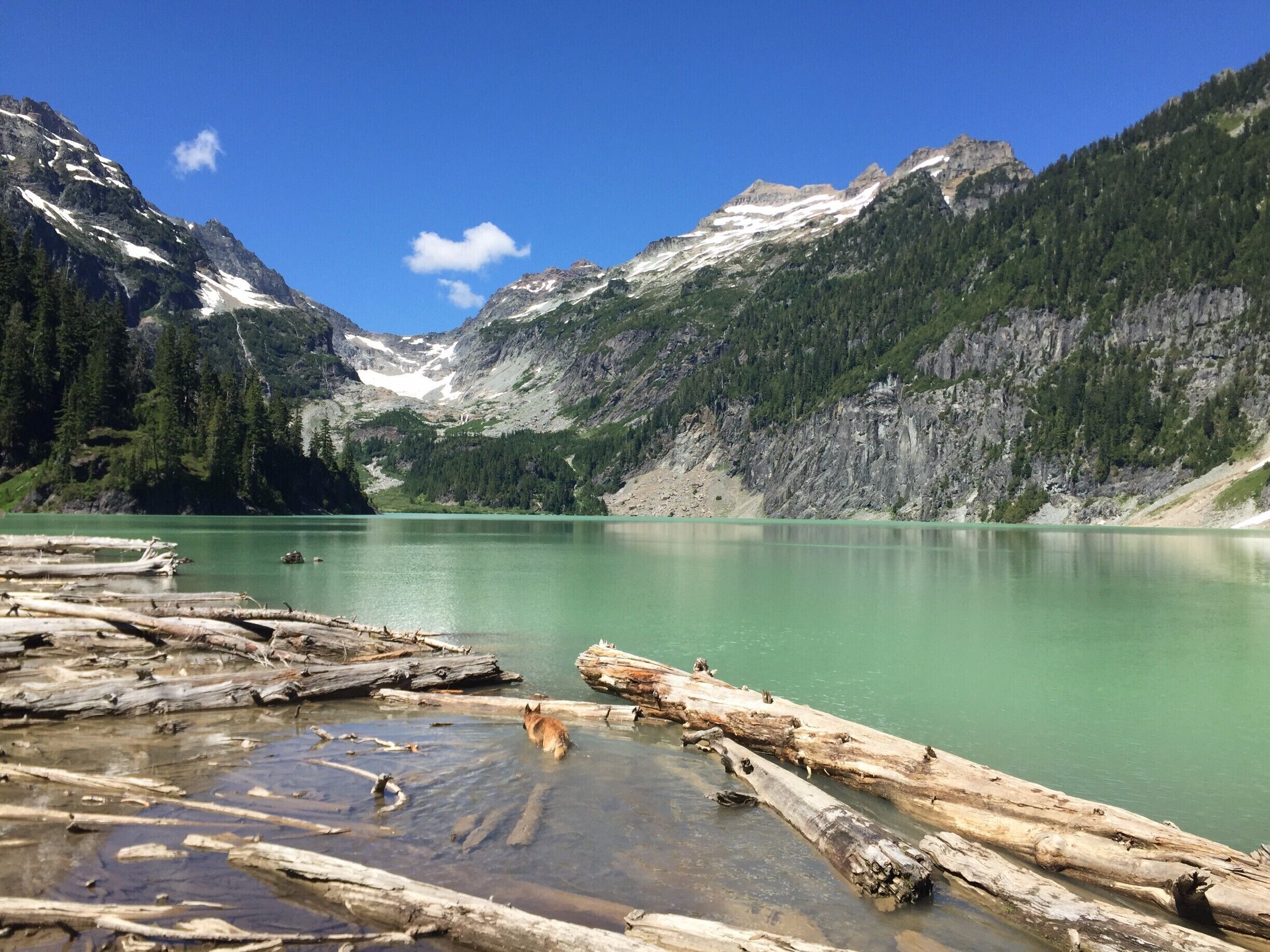 True to it's name, the water of Blanca Lake is a bright icy-teal color that is surreal to witness in person. Silt from melting glaciers around the lake gives it this vibrant color and, if you are brave enough to go for a frigid swim, your body becomes virtually invisible under the surface. Best to send your dog in first for a test swim! #lifeatexpedia #hiking
