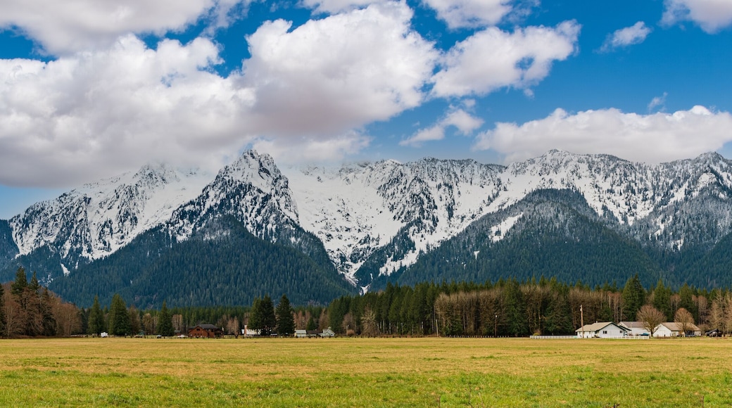 Condado de Snohomish