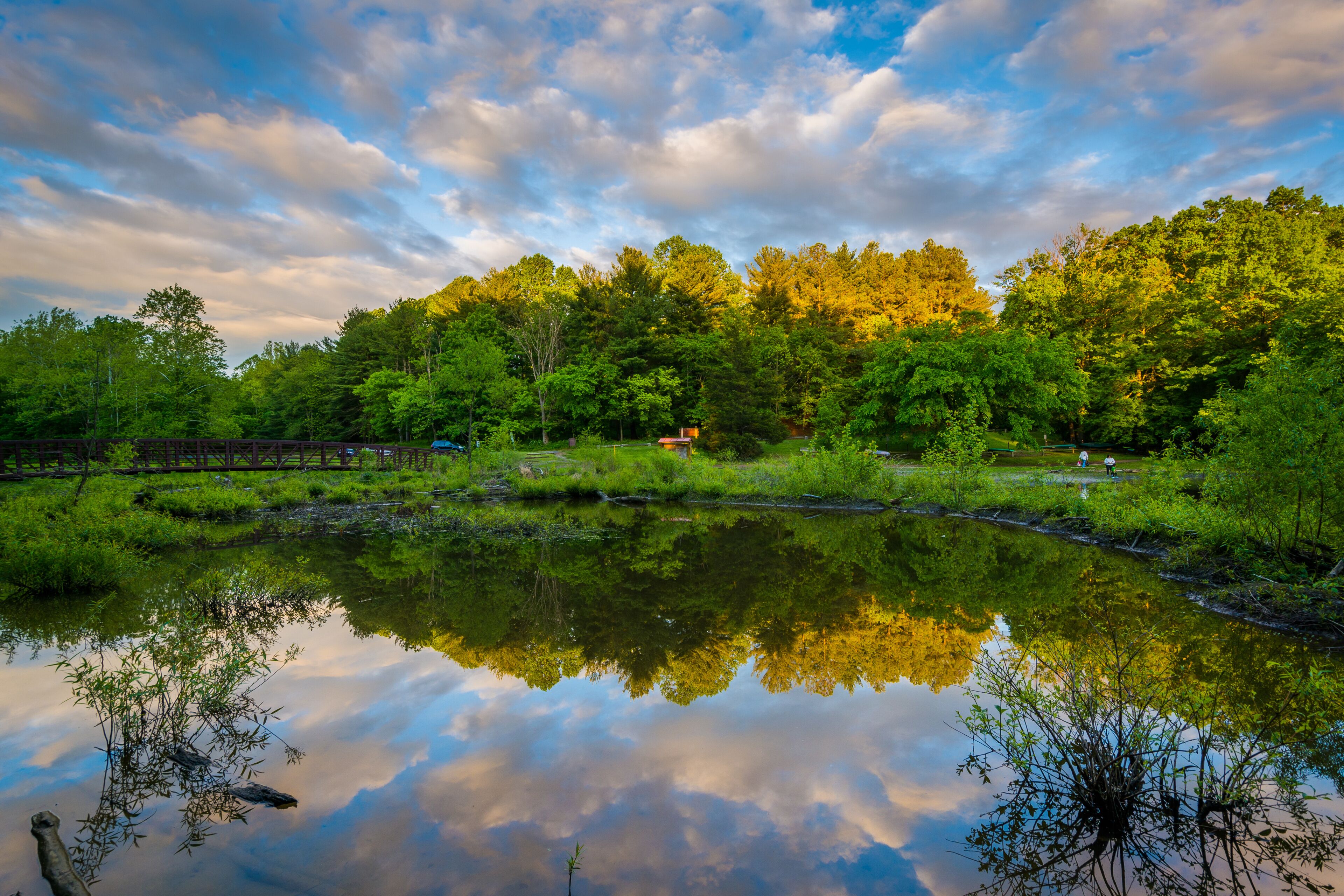 Condado de Montgomery