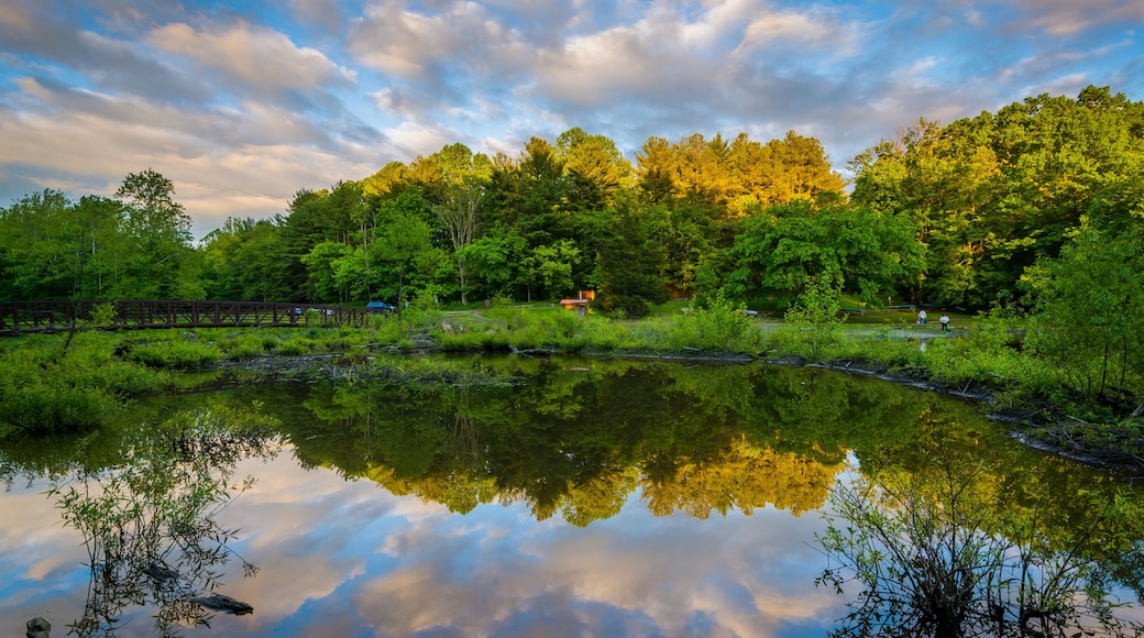 Condado de Montgomery