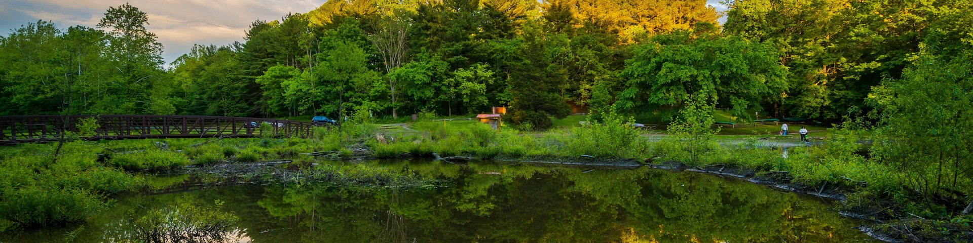 Un lago tranquilo rodeado de abundante vegetación y árboles, con una cerca de madera y una pequeña construcción al fondo.