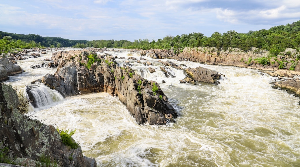 Condado de Montgomery