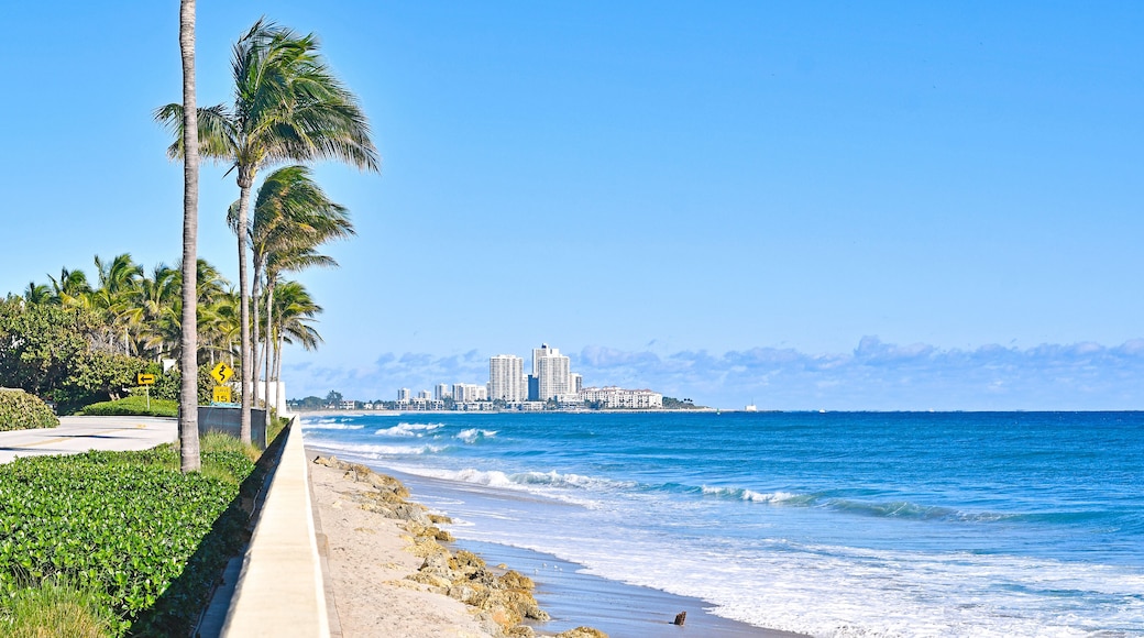 Comté de Palm Beach