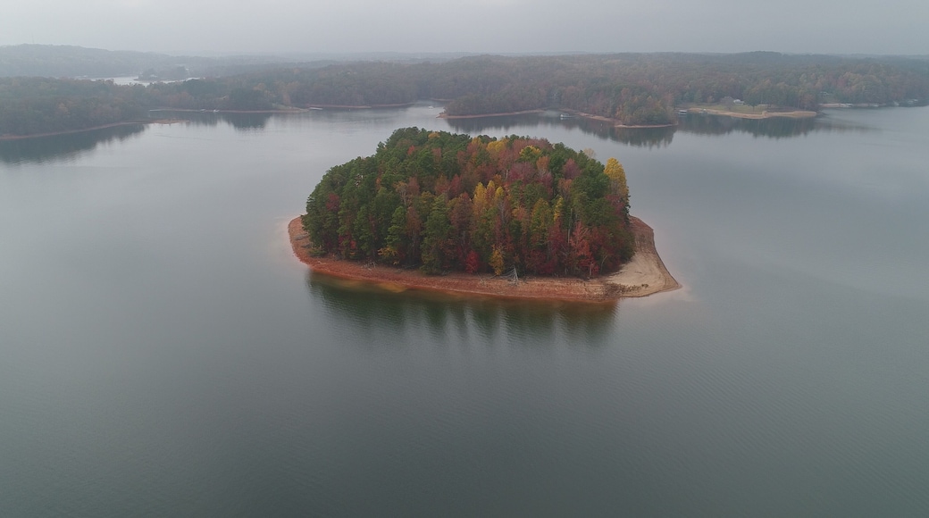 Islas del lago Lanier