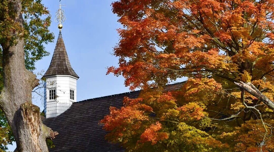 A lovely place to walk. Burial place for the fallen after the Battle of Monmouth. Used as a field hospital and a place of worship for George Washington during the battle. Many old stones with traditional carvings.