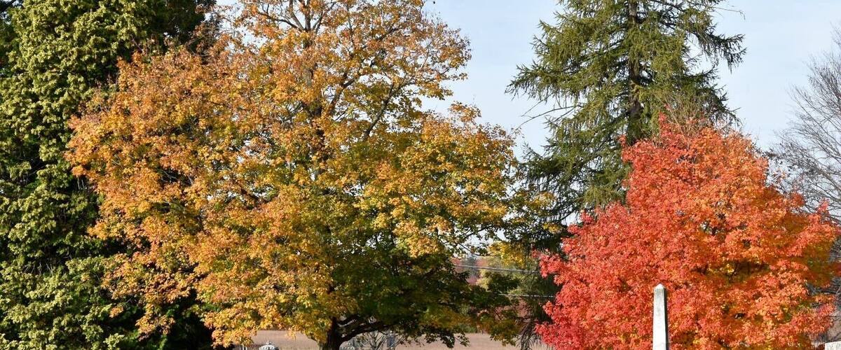 A cemetery with gravestones and trees in autumn colors.