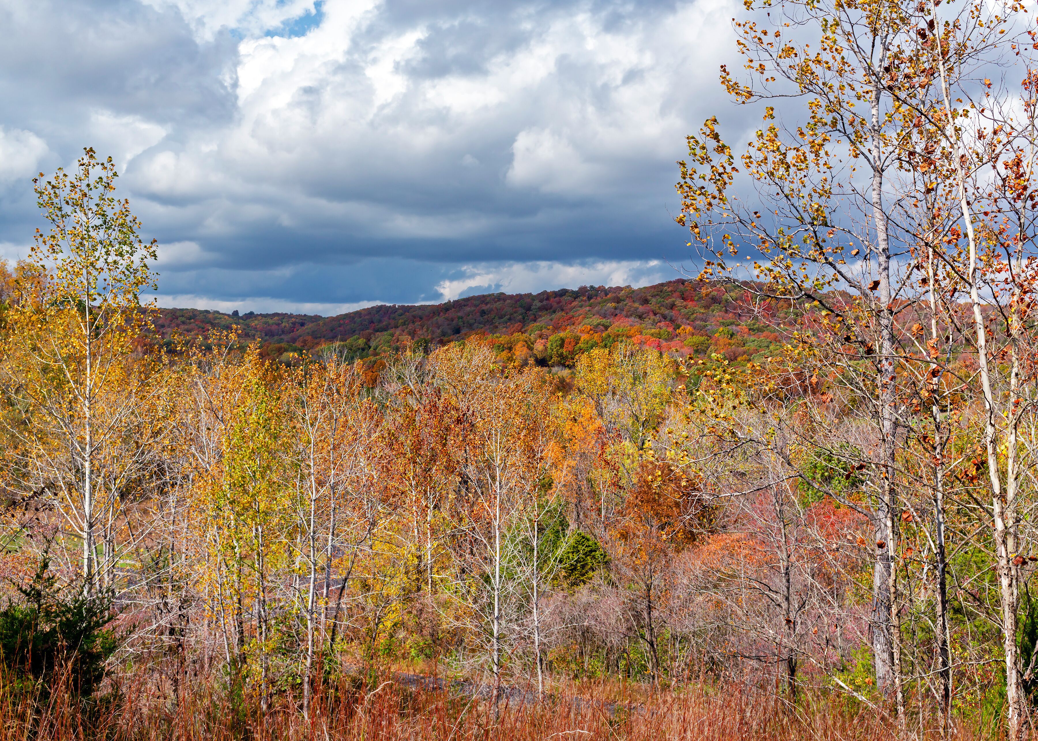 Comté de Saint Charles