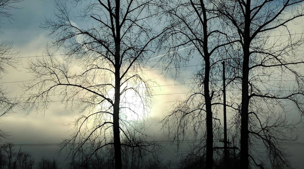 Come experience morning light at Highway 2 on the way to Stevens Pass. The view of the drive is magnificent. #LifeAtExpedia