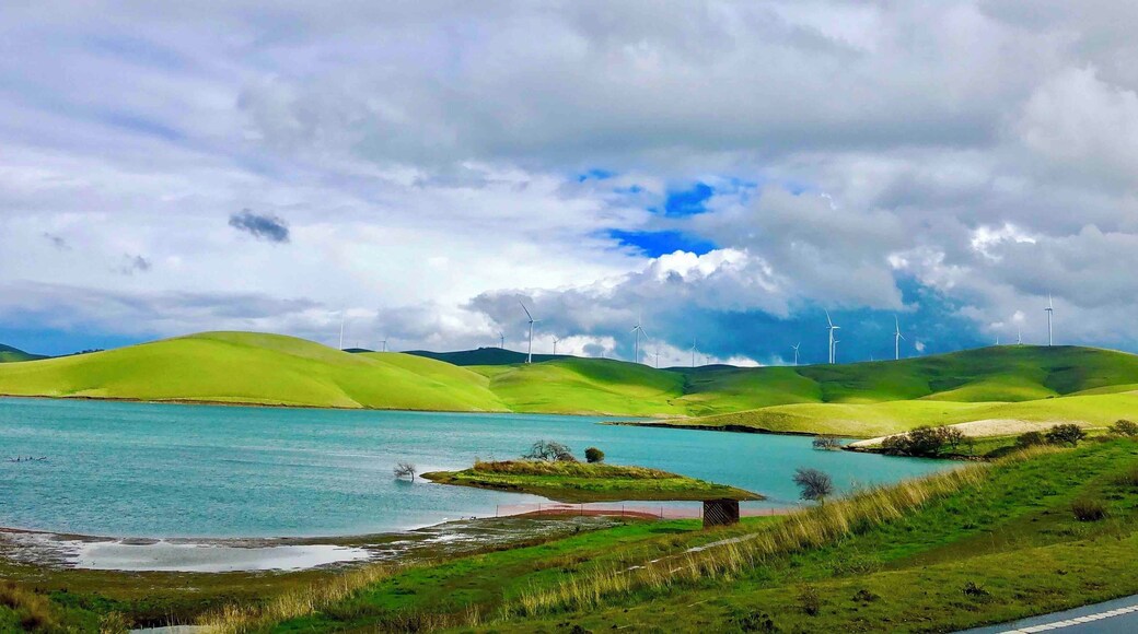 What a beautiful rainy day