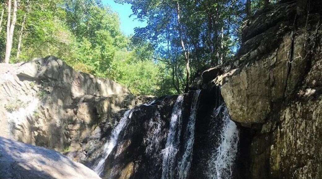 My favorite local spot! Got lucky to get this picture while no one else was there!