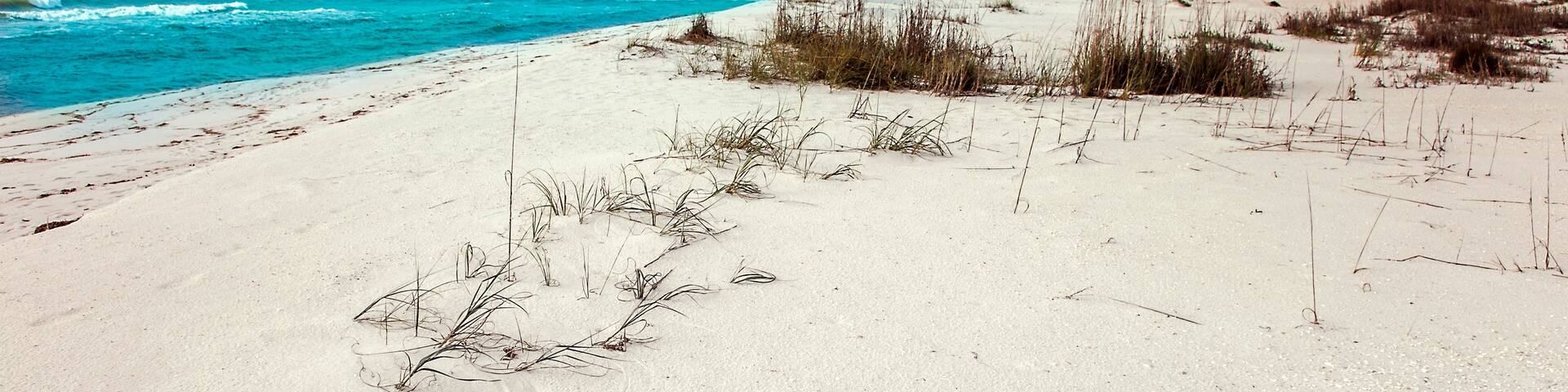 A beach with a sandy shore, ocean waves, and a wooden house on stilts.
