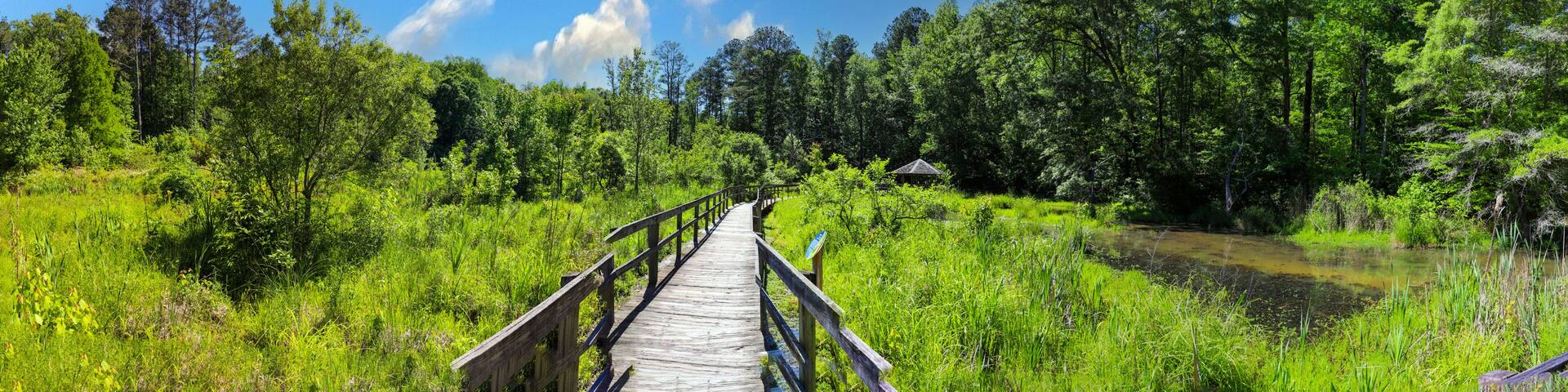 a stunning panoramic shot of long winding brown wooden bridge over silky brown water in a marsh surrounded by lush green trees and plants with blue sky at Newman Wetlands Center in Hampton Georgia
