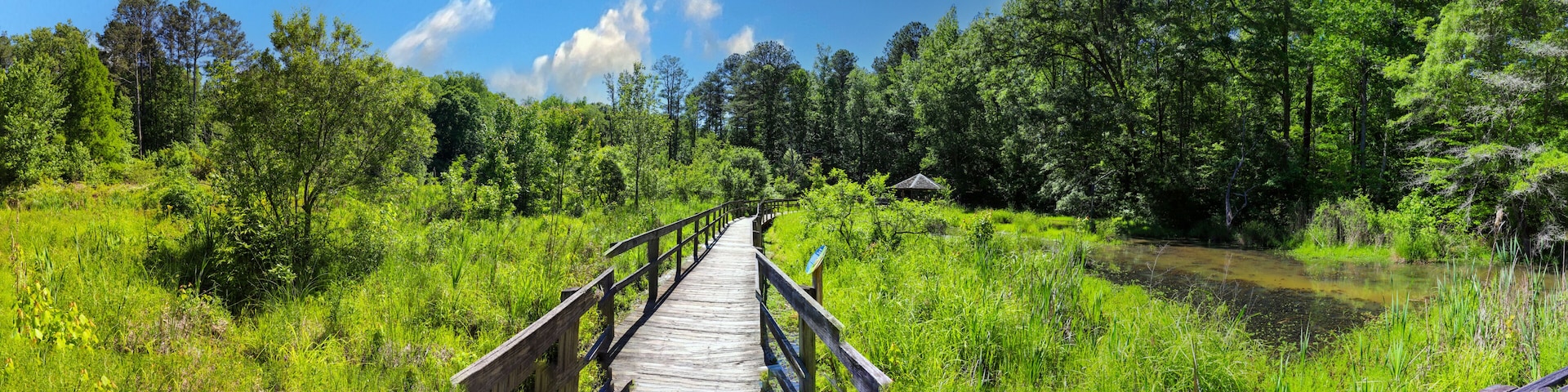 a stunning panoramic shot of long winding brown wooden bridge over silky brown water in a marsh surrounded by lush green trees and plants with blue sky at Newman Wetlands Center in Hampton Georgia