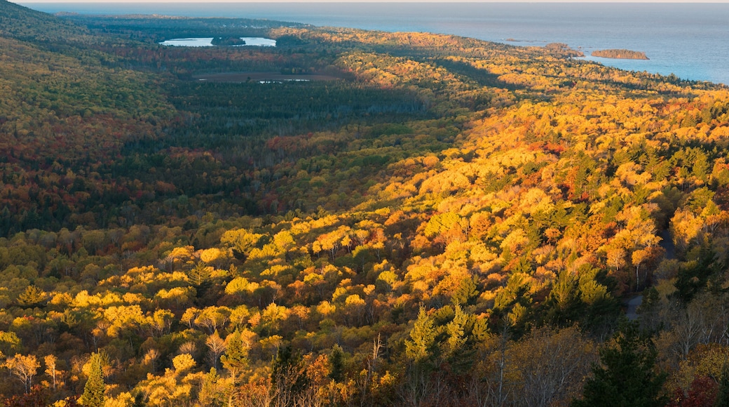 A forested landscape with a lake and a body of water in the distance.