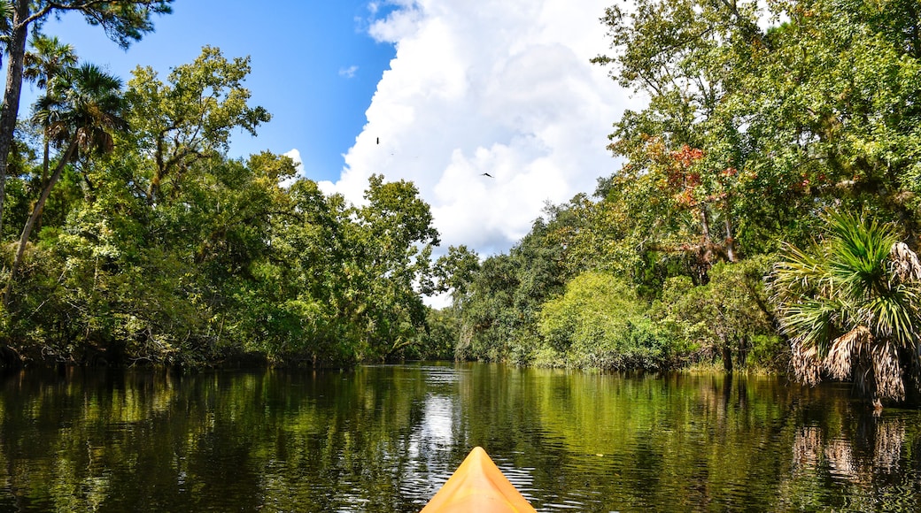 Beautiful day kayaking down econlockhatchee river in Little Big Econ State Park in Seminole County just north of Orlando, Florida.