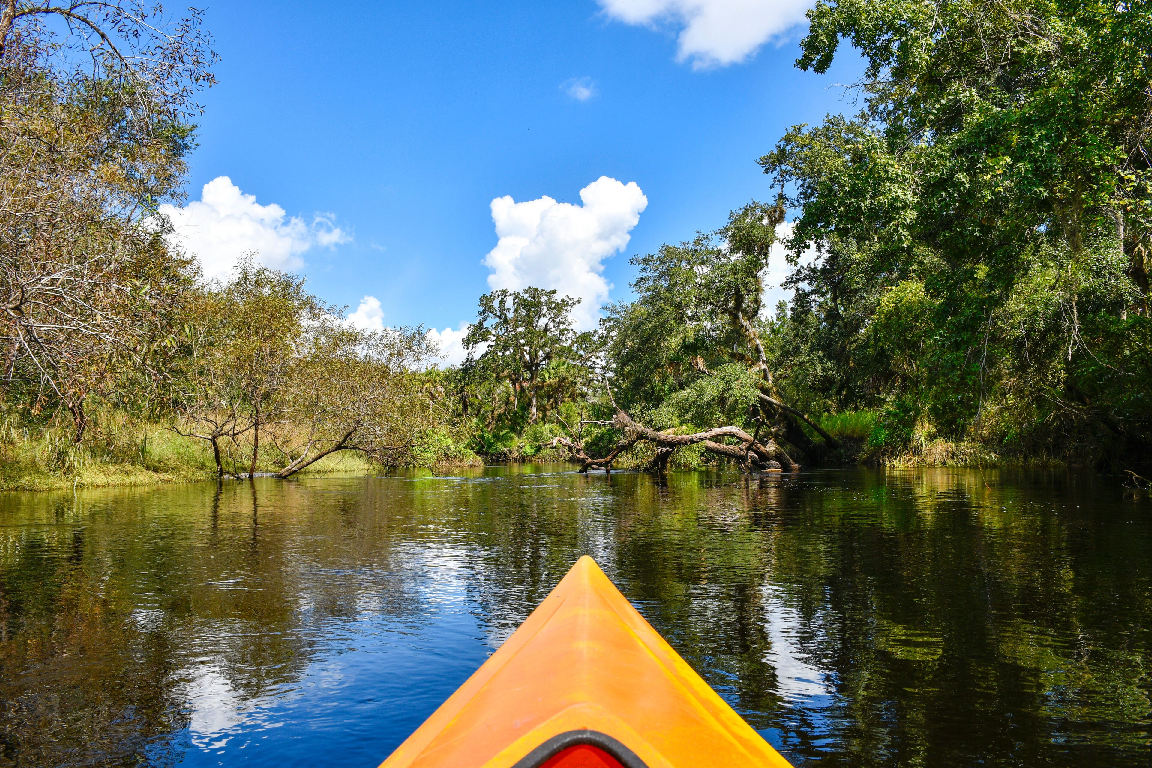 Kayaking down econlockhatchee river in Little Big Econ State Park in Seminole County just north of Orlando, Florida. 