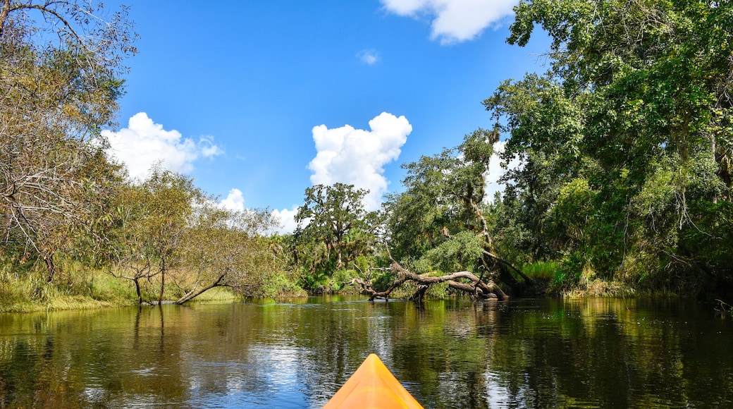 Kayaking down econlockhatchee river in Little Big Econ State Park in Seminole County just north of Orlando, Florida.
