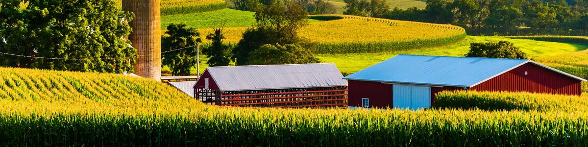 Barn and silo on a farm in rural York County, Pennsylvania.