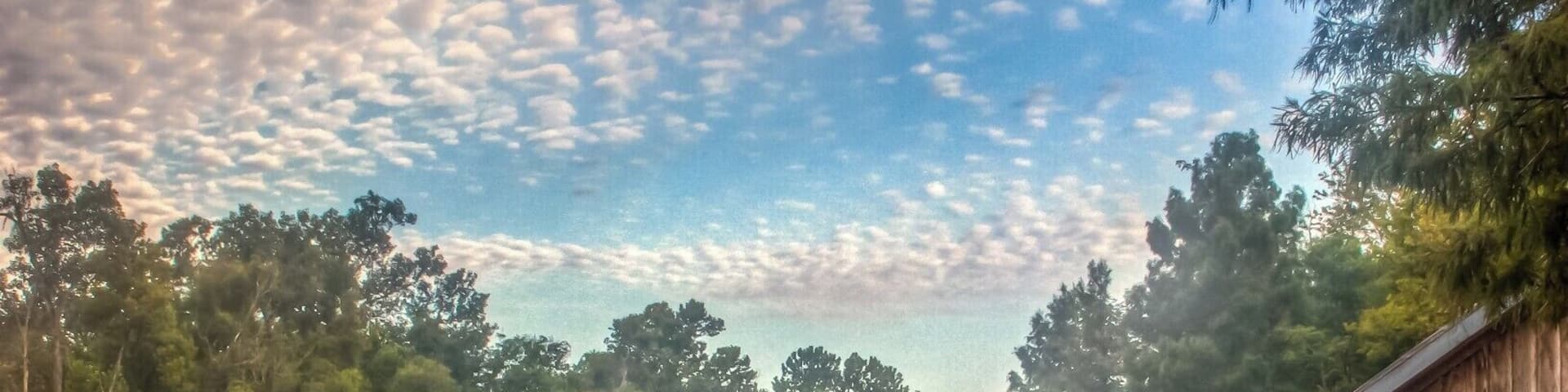 We toured Louisiana a while back and spent a couple of nights at Lake Fausse Pointe State Park.
It was pretty cool to be surrounded by such unspoiled nature.
You have a couple of options for your stay there: camping or one of their waterside cabins. We opted for the later and it was an amazing experience - especially the alligators swimming under our porch!
There are a lot of activities around: boat, canoe, cycling, and some nice walks.