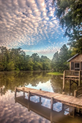 We toured Louisiana a while back and spent a couple of nights at Lake Fausse Pointe State Park.
It was pretty cool to be surrounded by such unspoiled nature.
You have a couple of options for your stay there: camping or one of their waterside cabins. We opted for the later and it was an amazing experience - especially the alligators swimming under our porch!
There are a lot of activities around: boat, canoe, cycling, and some nice walks.