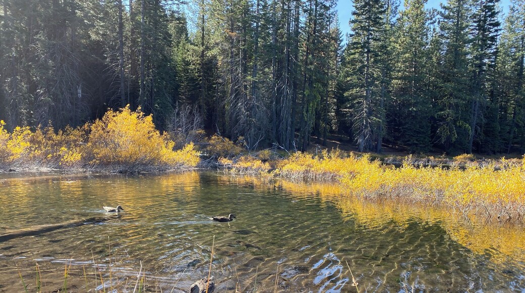 Pretty lake with beautiful fall colors. #adventures