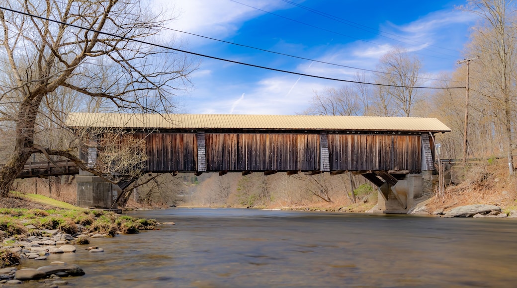 Historic Livingston Manor Van Tran Flat wooden covered bridge in the Town of Rockland NY