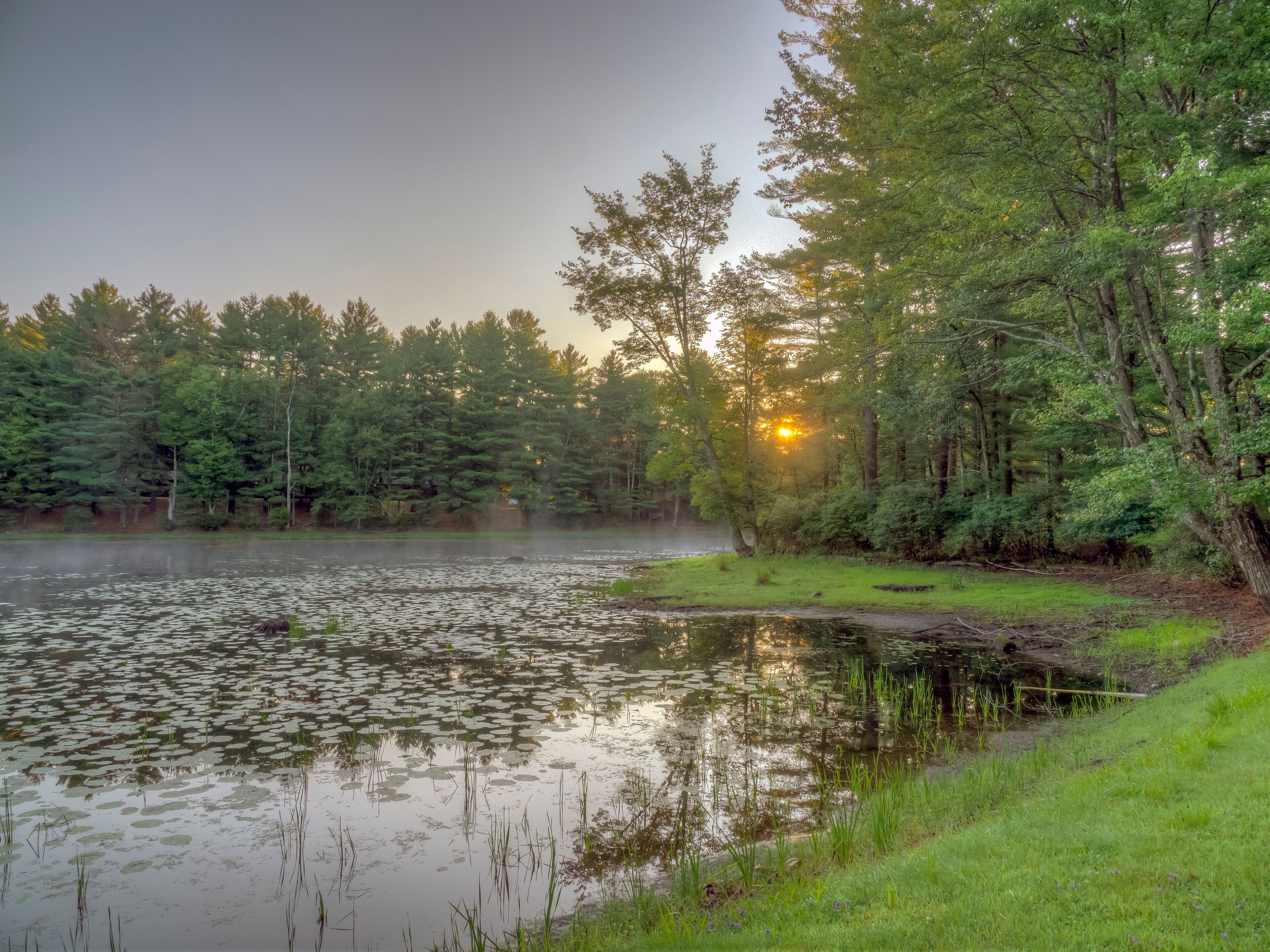 On small pond in Upstate New York