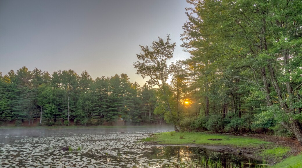 On small pond in Upstate New York