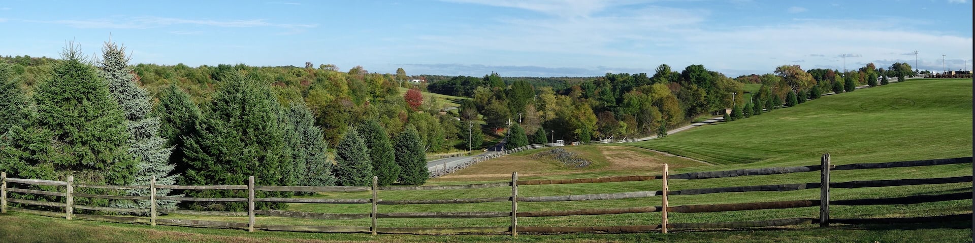A rural landscape with a wooden fence, a road, and a variety of trees.