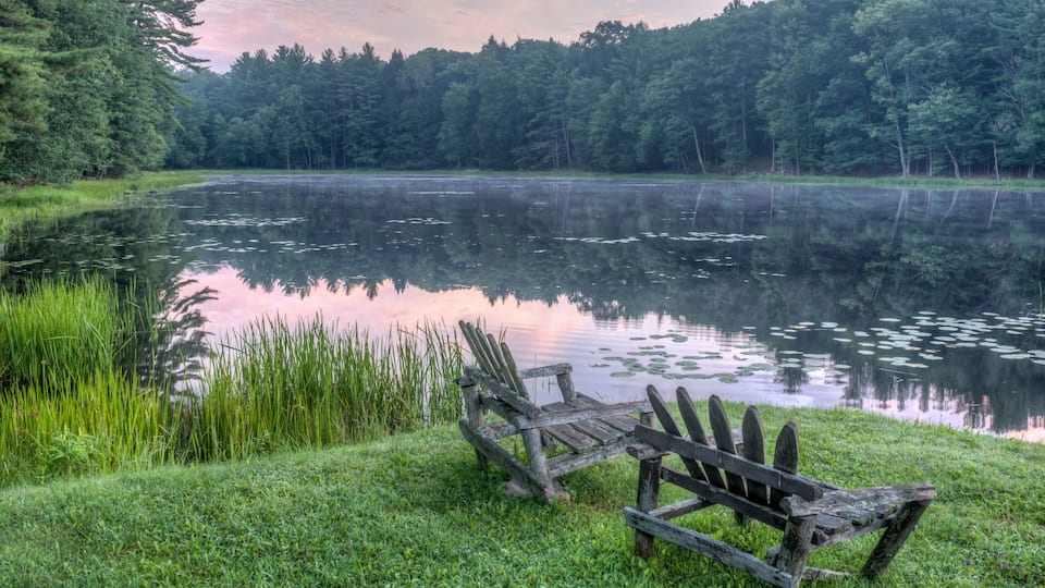 A tranquil lake with a wooden bench, surrounded by lush greenery and dense trees.