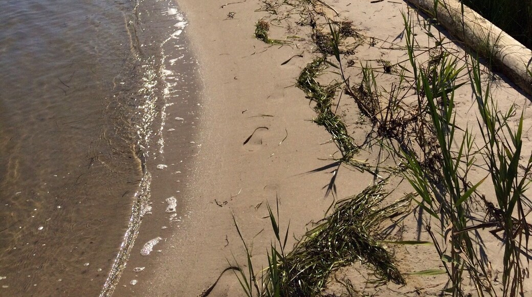 Massive mansions backing onto bay. Available to rent or house-share for the summer. Westhampton beach, slightly less costly than East or Southampton! But just as nice!!