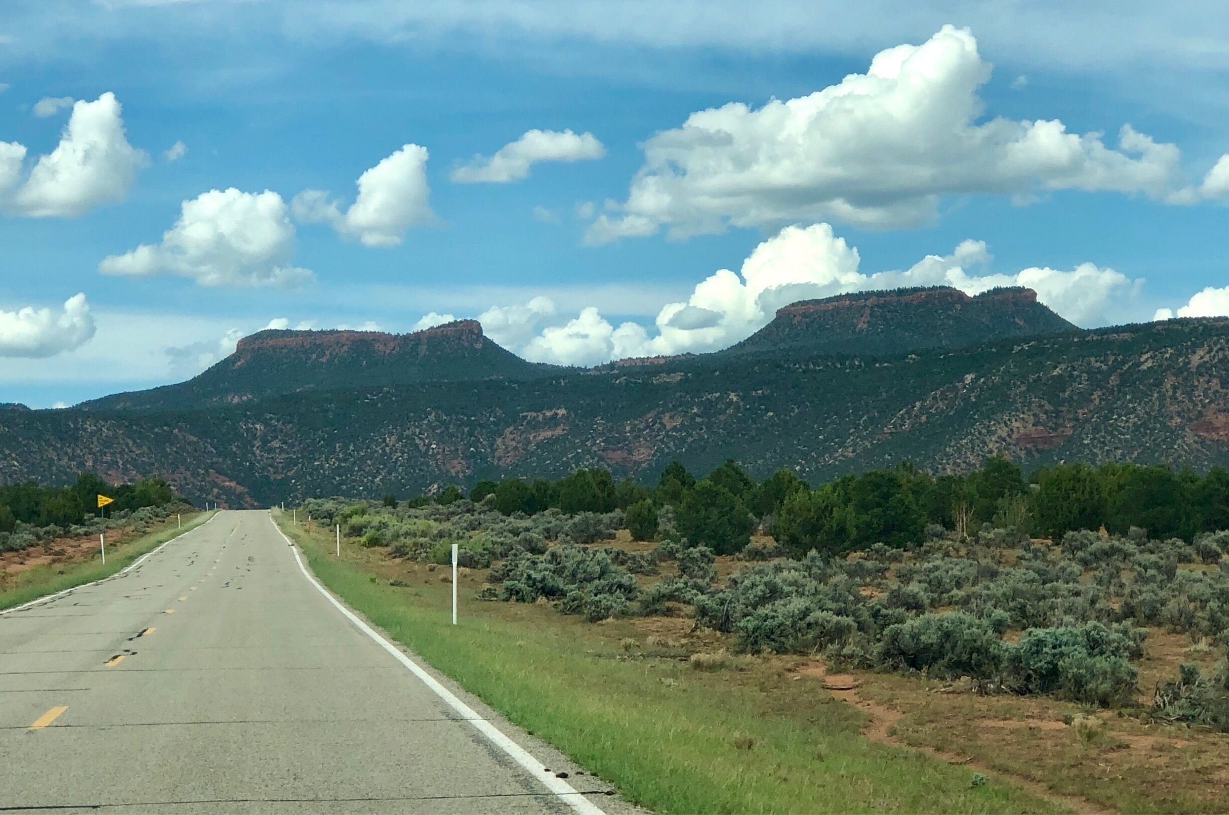 Spiritually important to the Natives of this area, these are the Bears Ears. 