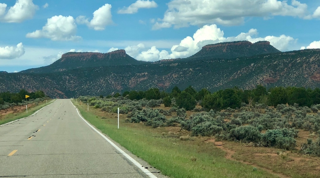 Spiritually important to the Natives of this area, these are the Bears Ears.