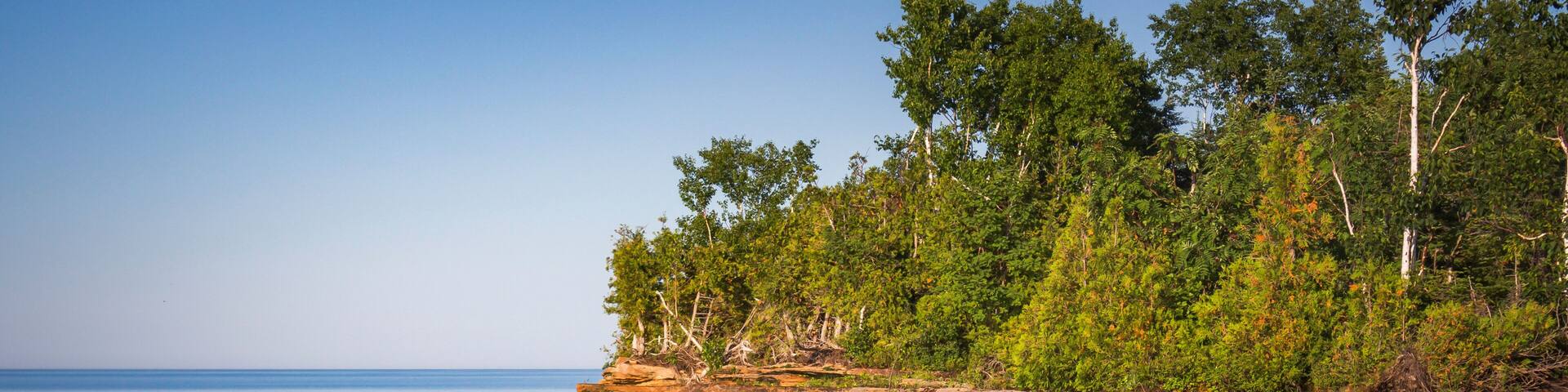 A rocky shoreline with clear blue water, dense green trees, and a clear sky.
