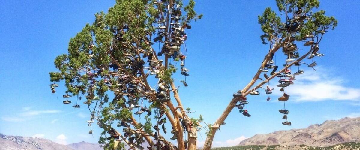 Discovered this surprising shoe tree on the side of the road in the desert near Plumas National Forest. I'm not positive that the map pin is in the exact spot, but it's close if not. If you want to get rid of some shoes....here's the place!